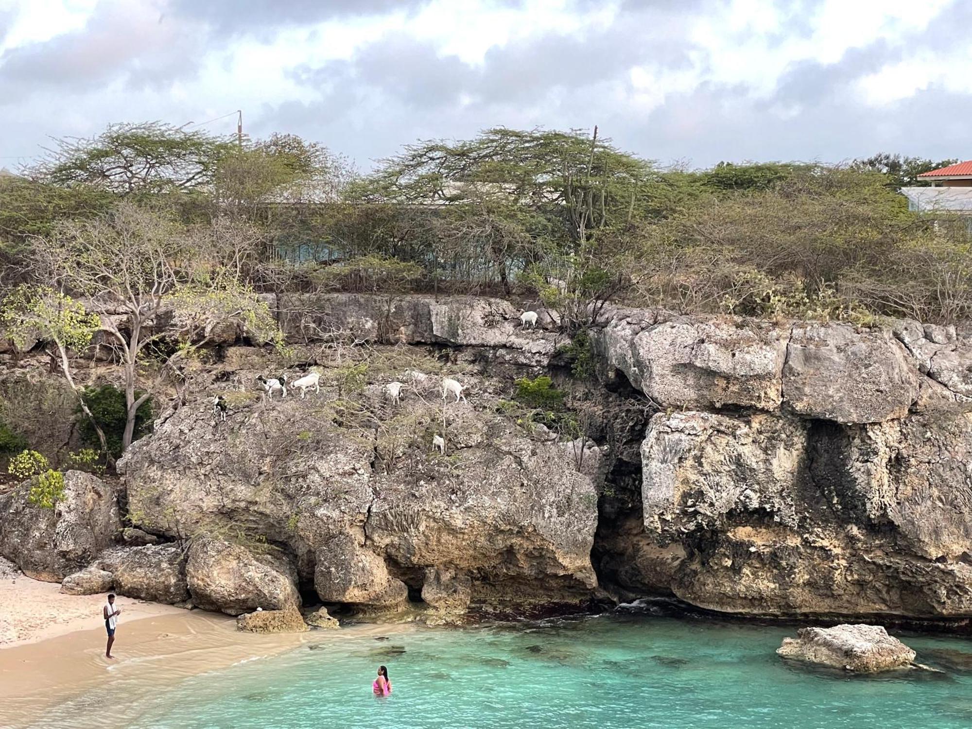 فيلا Westpuntفي Finisterre Curacao المظهر الخارجي الصورة